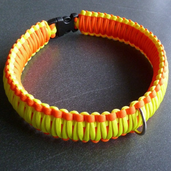 Collier de chien Orange Neon / Lemon Neon