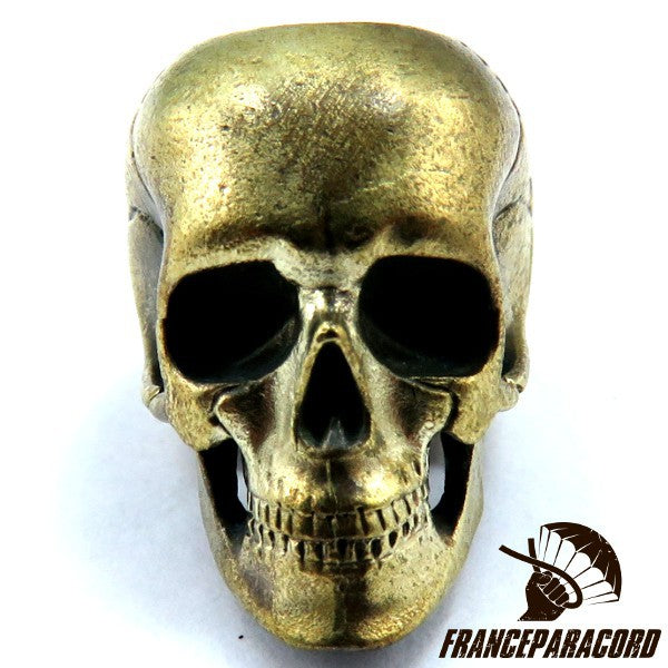 Anatomical Skull Bronze Massif