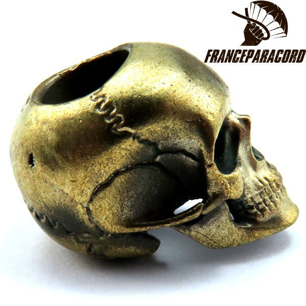 Anatomical Skull Bronze Massif